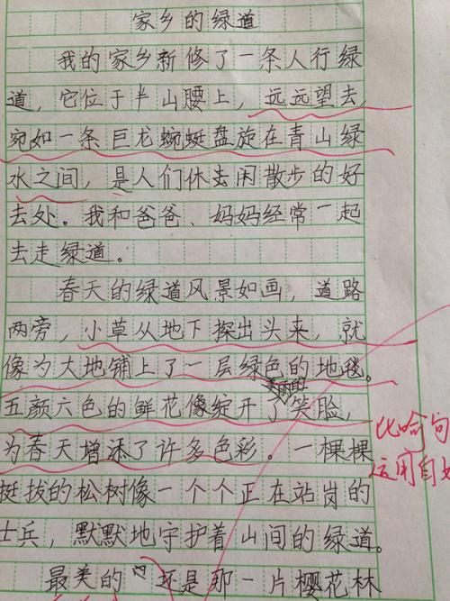 我家的小河作文