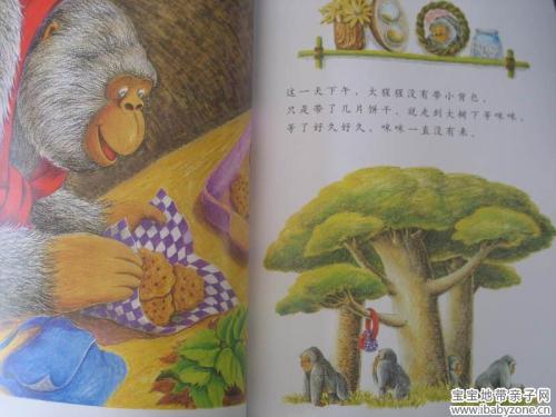 看完书后我有友谊可以表达我的感情