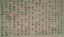 未选择的路读后感