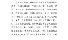 拥抱春天作文600字