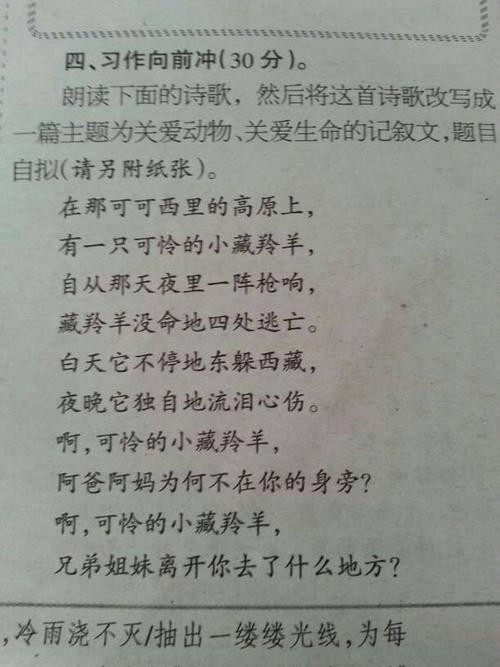 关于环境污染的成分