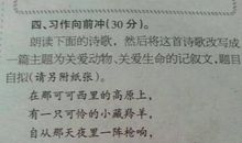 关于环境污染的作文