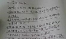 乡村的冬天作文