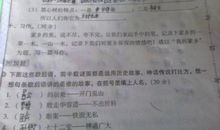 写环境污染的作文