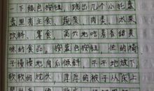 未来的世界小学作文