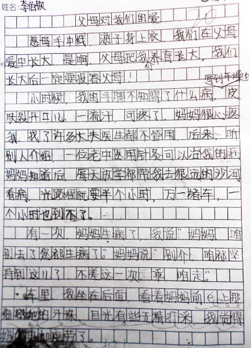 无私的爱情作文300字