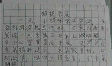 猫捉老鼠的作文