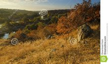 乡村的秋天四年级作文