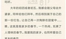 关于元旦的作文600字