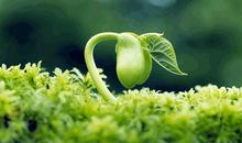 欣赏是一种善良读后感