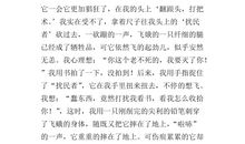 活出生命的意义作文