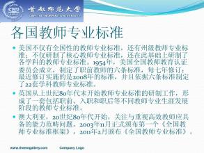 幼儿教师的专业水平