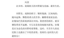 乡村生活作文400字