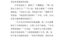 春天的故事作文600字