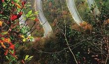 2018湖北十堰中考满分作文：芬芳（四）