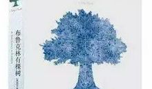 布鲁克林有棵树读后感