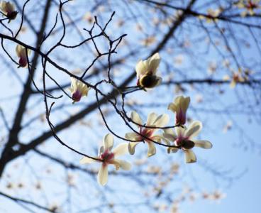 减速时间满分得分构成