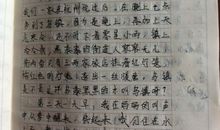 20年后的我作文450字