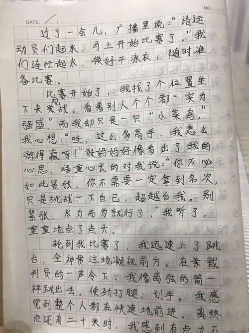 关于游泳比赛的组成