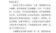 20年后的我作文300字