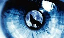 《狼图腾》经典语录