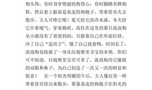 花博会作文400字