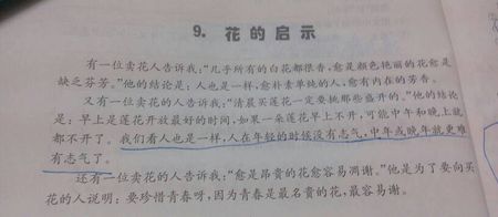 这是一个快乐的构图600字