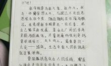 开学了作文100字