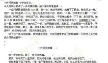 一件可笑的事作文