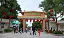 茂名森林公园作文