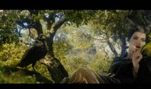 沉睡魔咒观后感