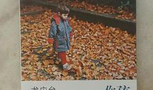 孩子，你慢慢来读后感