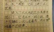 这就是我小学生作文