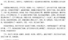 走亲戚小学作文