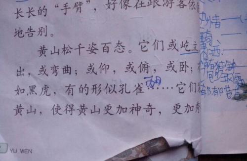 哈尔滨的冬季作文