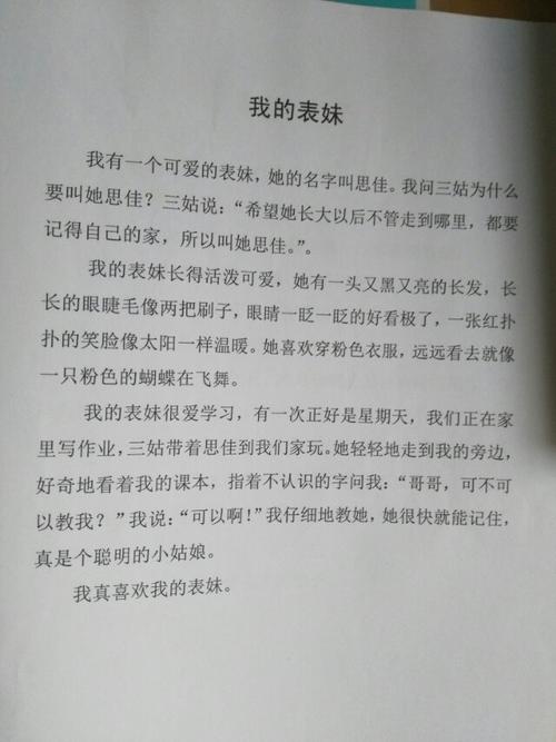 快乐时光组成