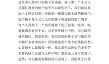 诚实的作文400字