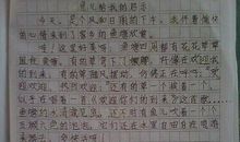 逛市场作文400字