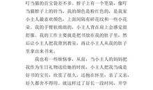 书包的自述作文500字