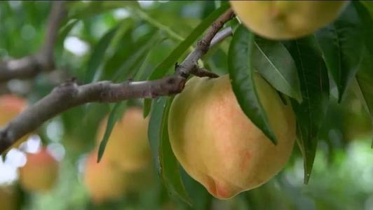 如何开始新工作？