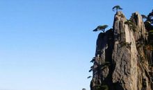 美丽的黄山作文