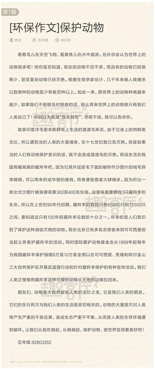 动物的启蒙组成