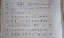 美丽的景色作文250字