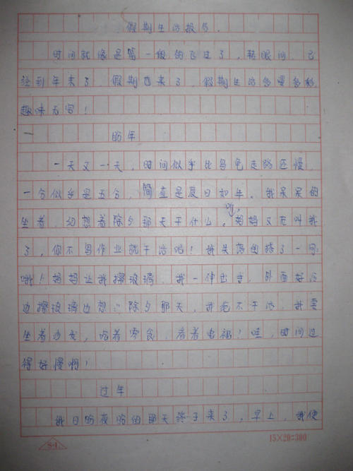 难忘的寒假生活组成