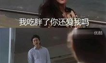 张柏芝经典语录