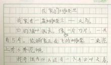 美丽的蝴蝶作文