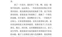 乡下美景作文400字