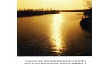 死水微澜读后感