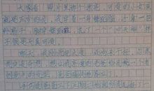 逛超市作文500字