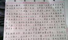 习惯作文450字